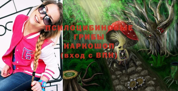 дживик Арсеньев