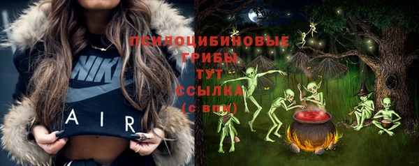 дживик Арсеньев