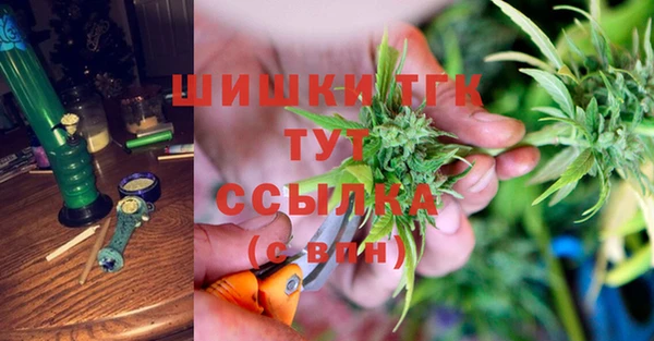 дживик Арсеньев