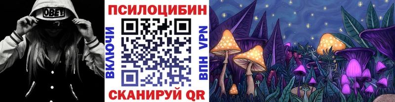 как найти наркотики  Георгиевск  Псилоцибиновые грибы Cubensis 